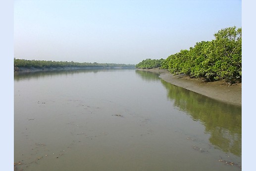 Viaggio in India 2008 - Sunderbans